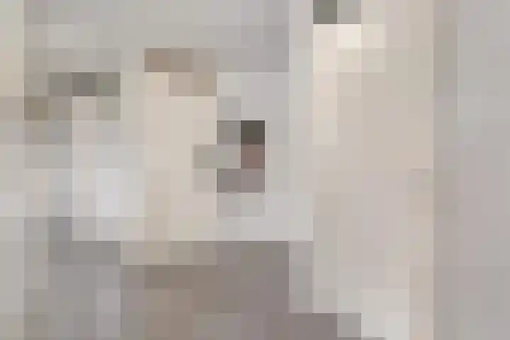 Graspieperstraat 105 Zwolle thumbnail 7