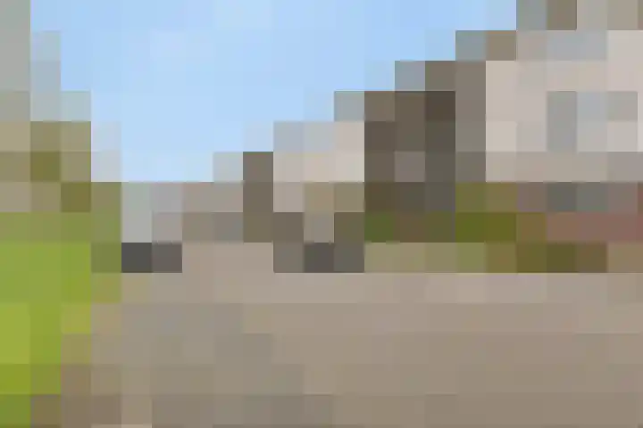 Graspieperstraat 107 Zwolle thumbnail 18