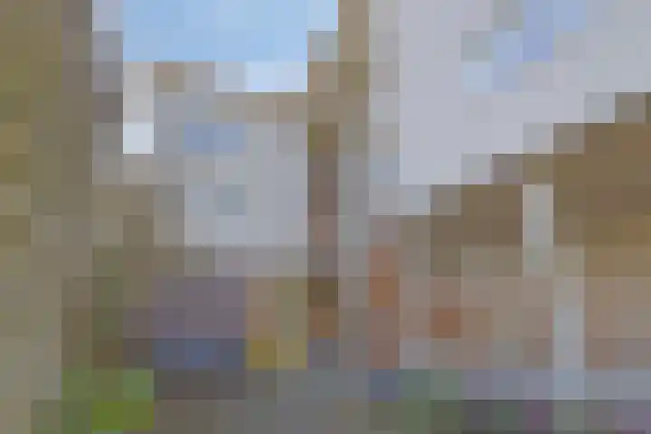 Graspieperstraat 107 Zwolle thumbnail 4