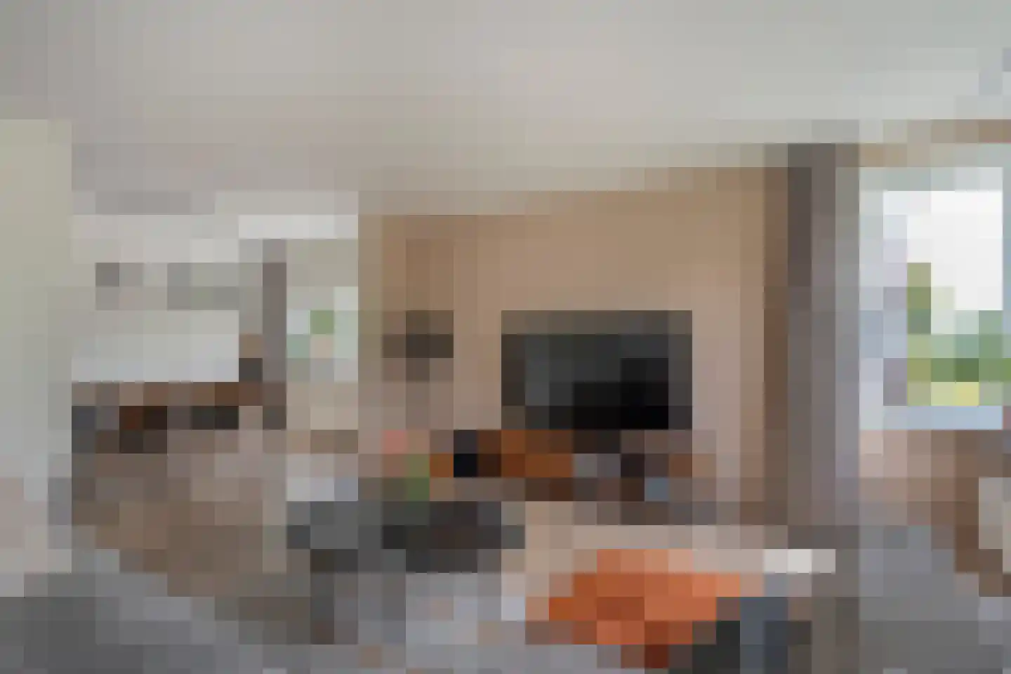 Graspieperstraat 77 Zwolle thumbnail 10