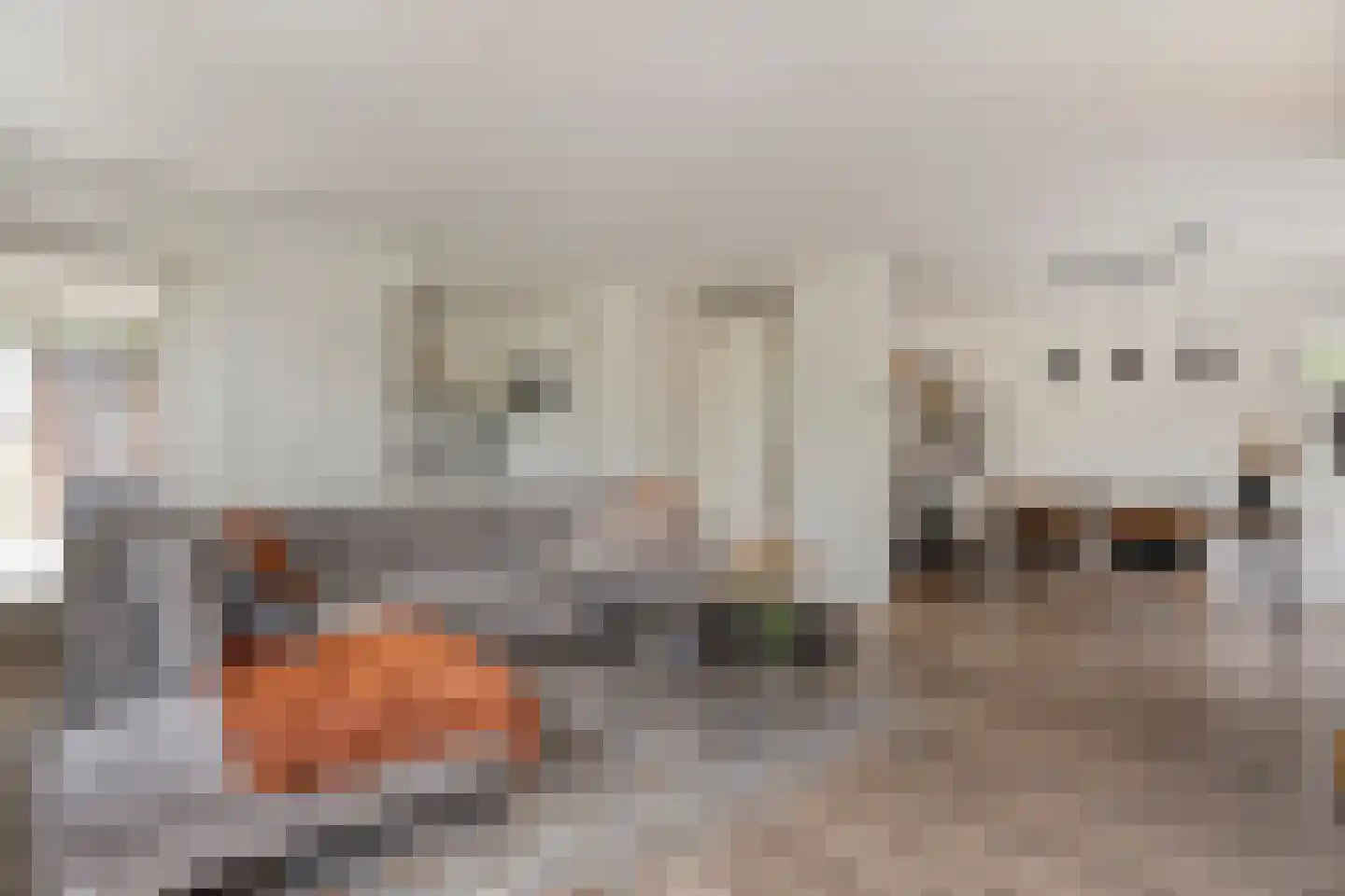 Graspieperstraat 77 Zwolle thumbnail 11