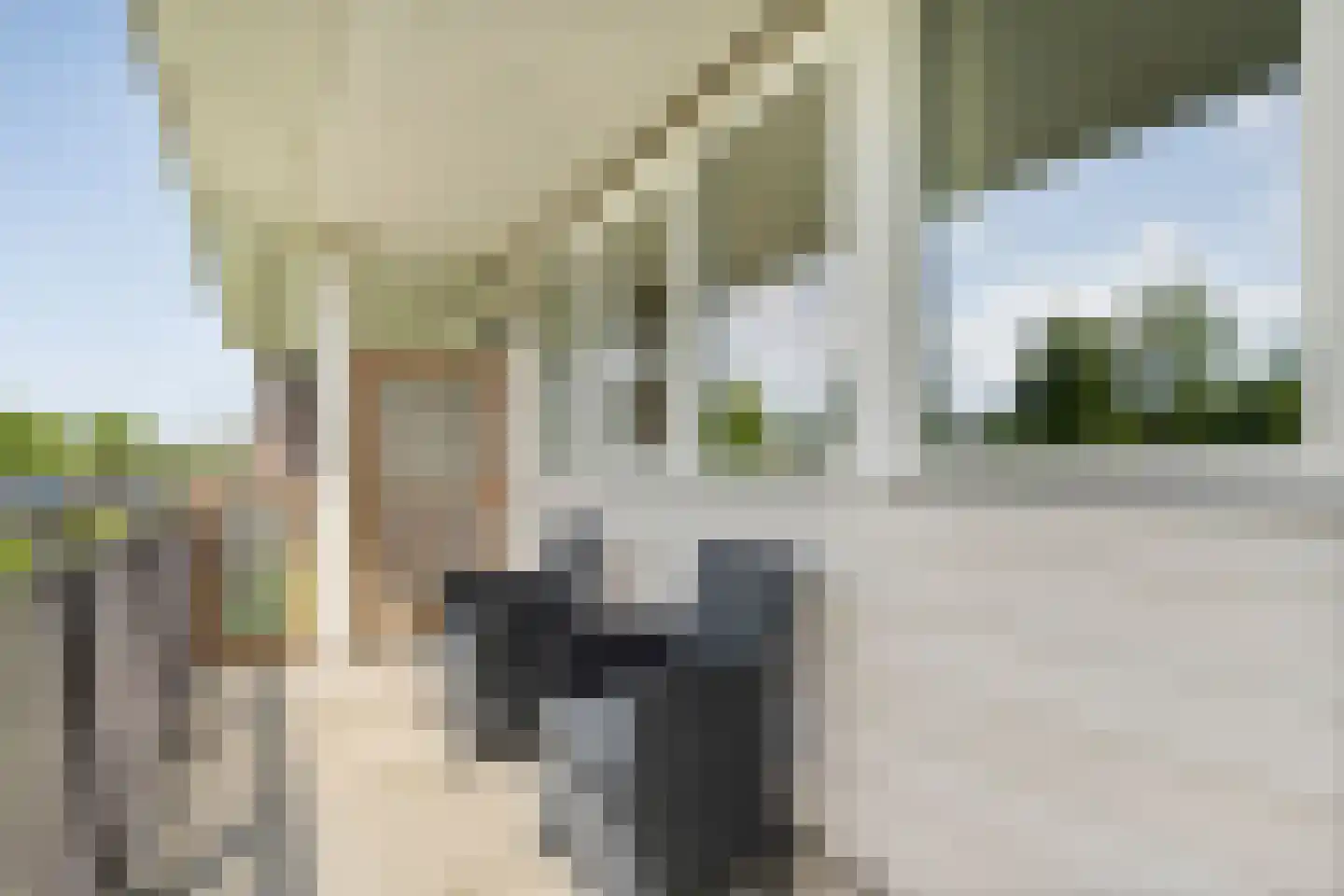 Graspieperstraat 77 Zwolle thumbnail 13
