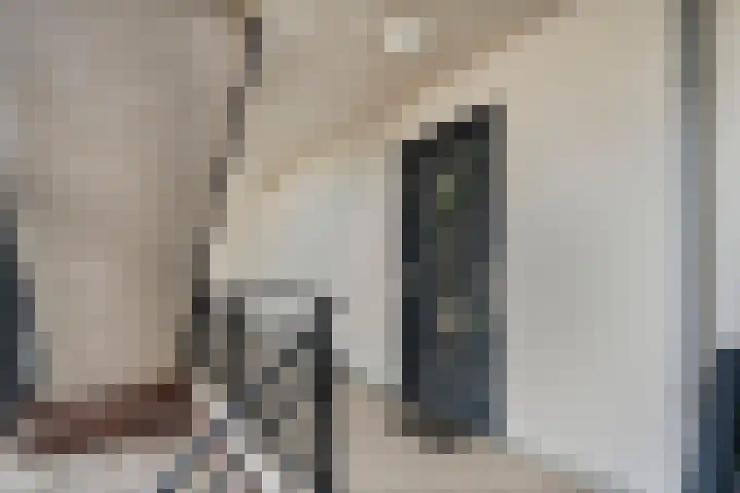 Graspieperstraat 77 Zwolle thumbnail 23