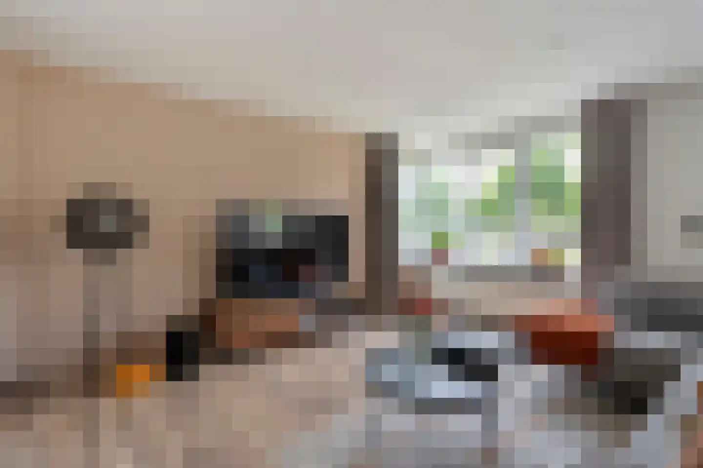Graspieperstraat 77 Zwolle thumbnail 9