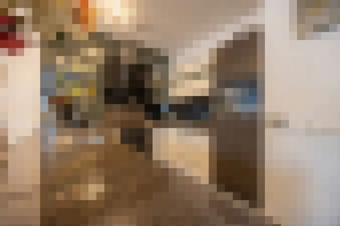 Grasplant 13 Eindhoven thumbnail 10