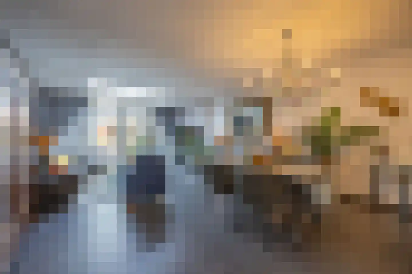 Grasplant 13 Eindhoven thumbnail 15