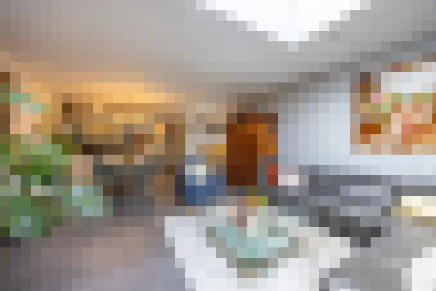 Grasplant 13 Eindhoven thumbnail 17