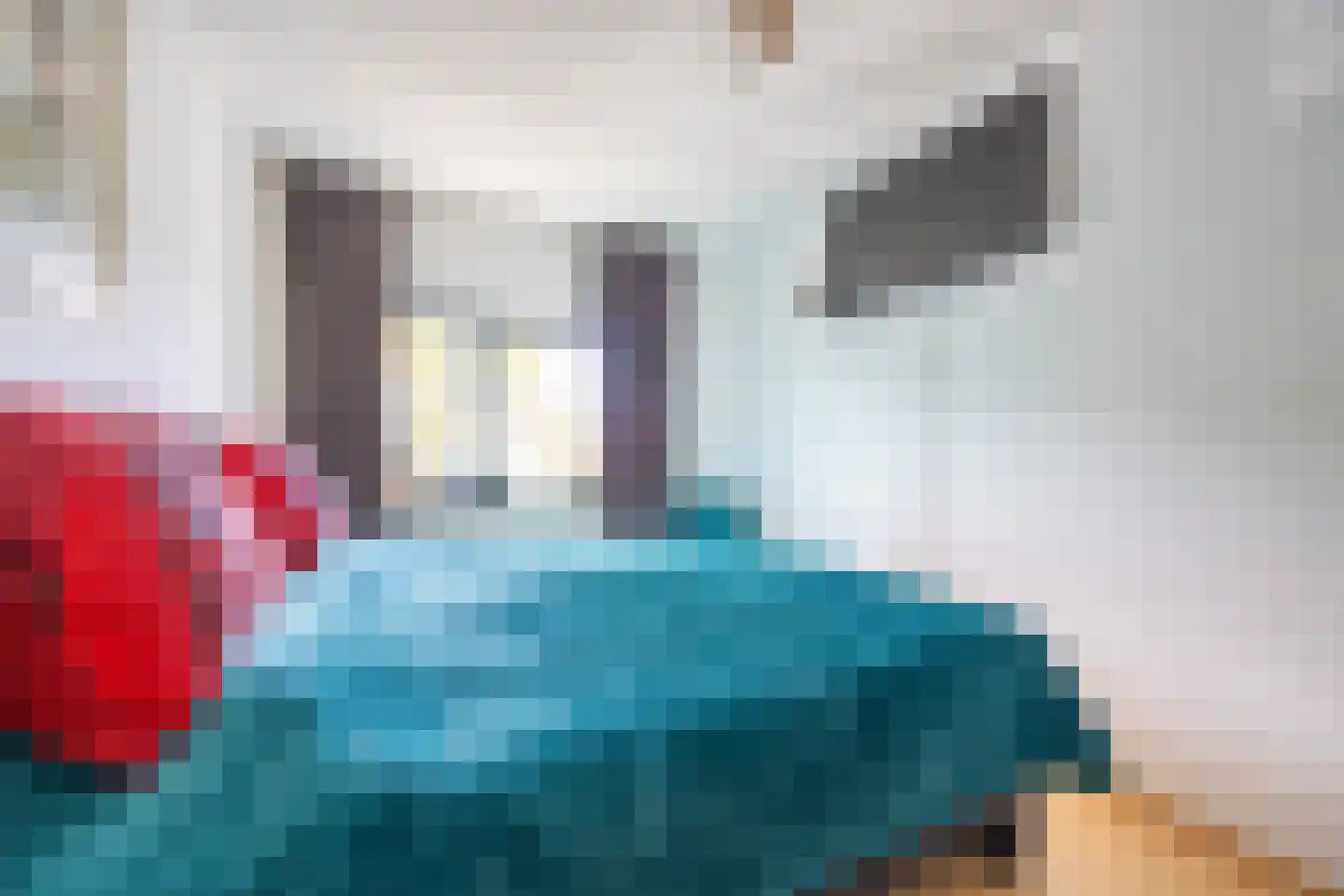 Grasplant 13 Eindhoven thumbnail 24