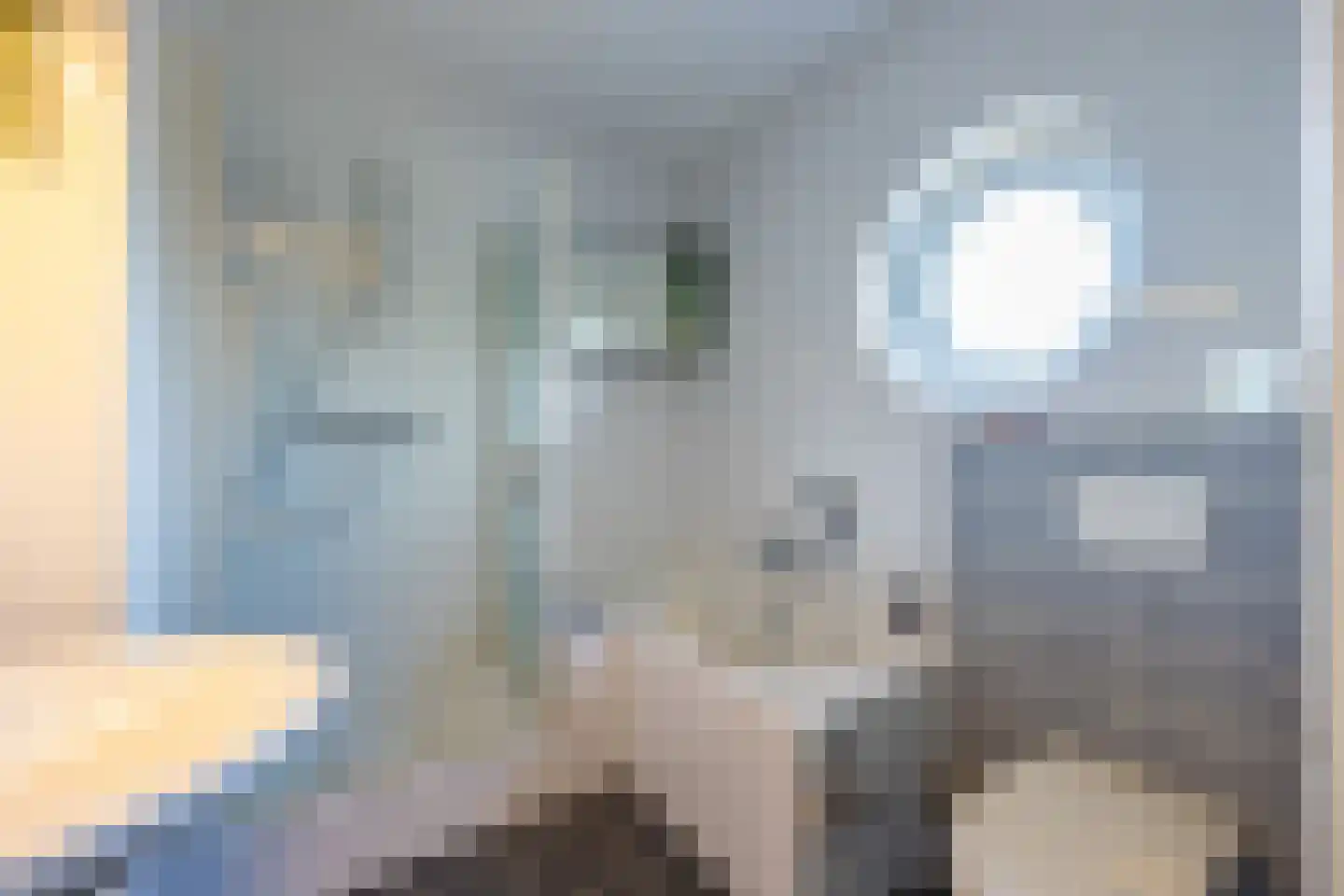 Grasplant 13 Eindhoven thumbnail 27