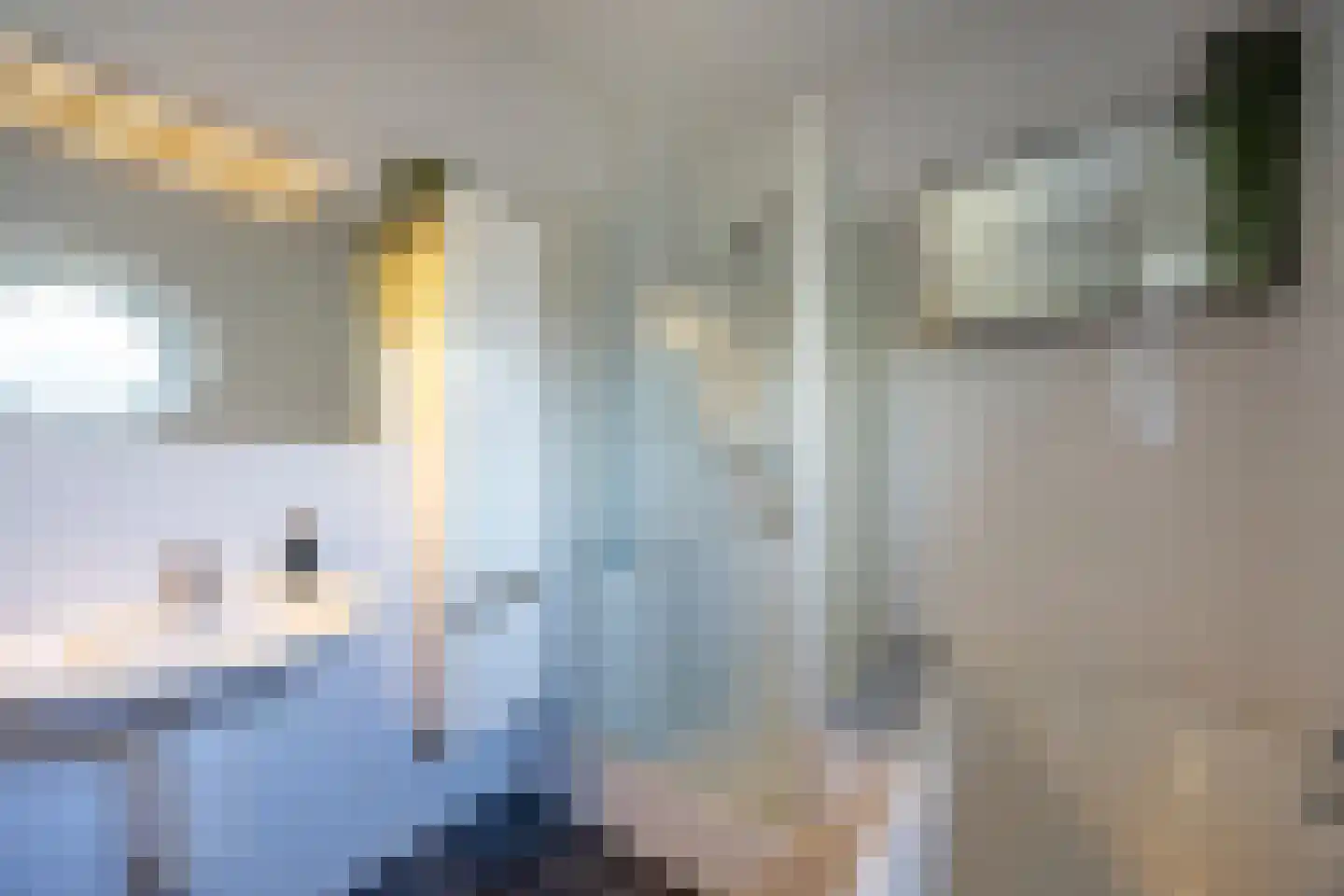 Grasplant 13 Eindhoven thumbnail 28