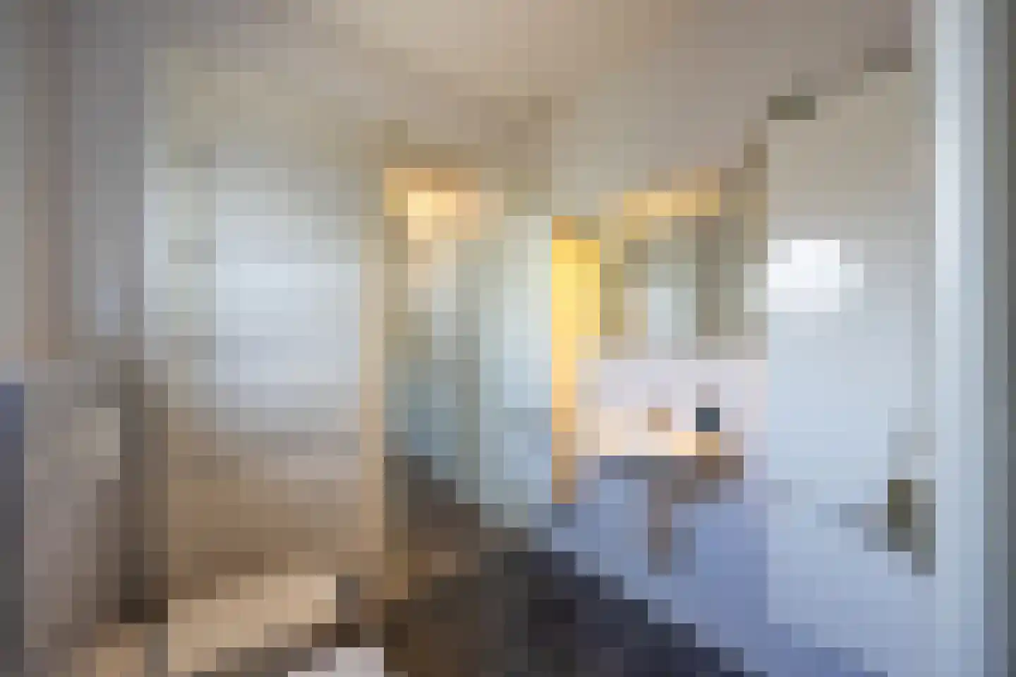 Grasplant 13 Eindhoven thumbnail 29