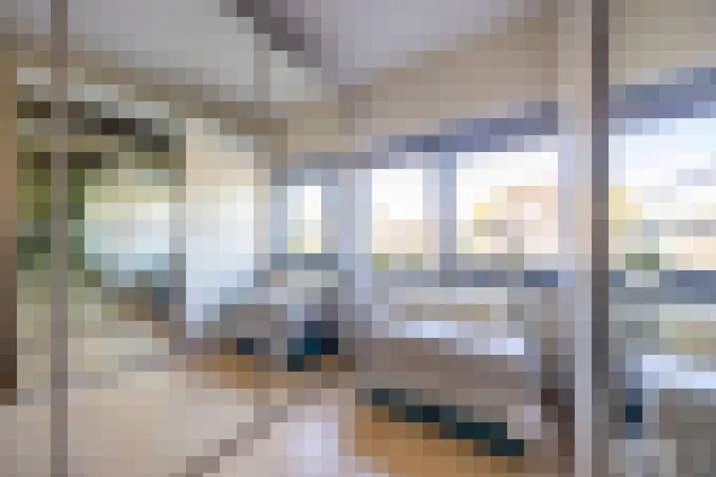 Grasplant 13 Eindhoven thumbnail 32