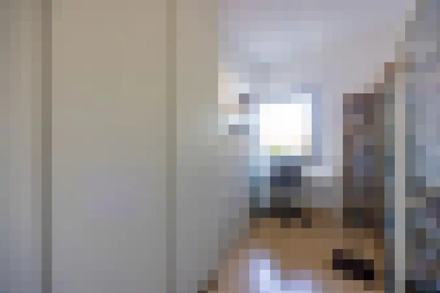 Grasplant 13 Eindhoven thumbnail 35