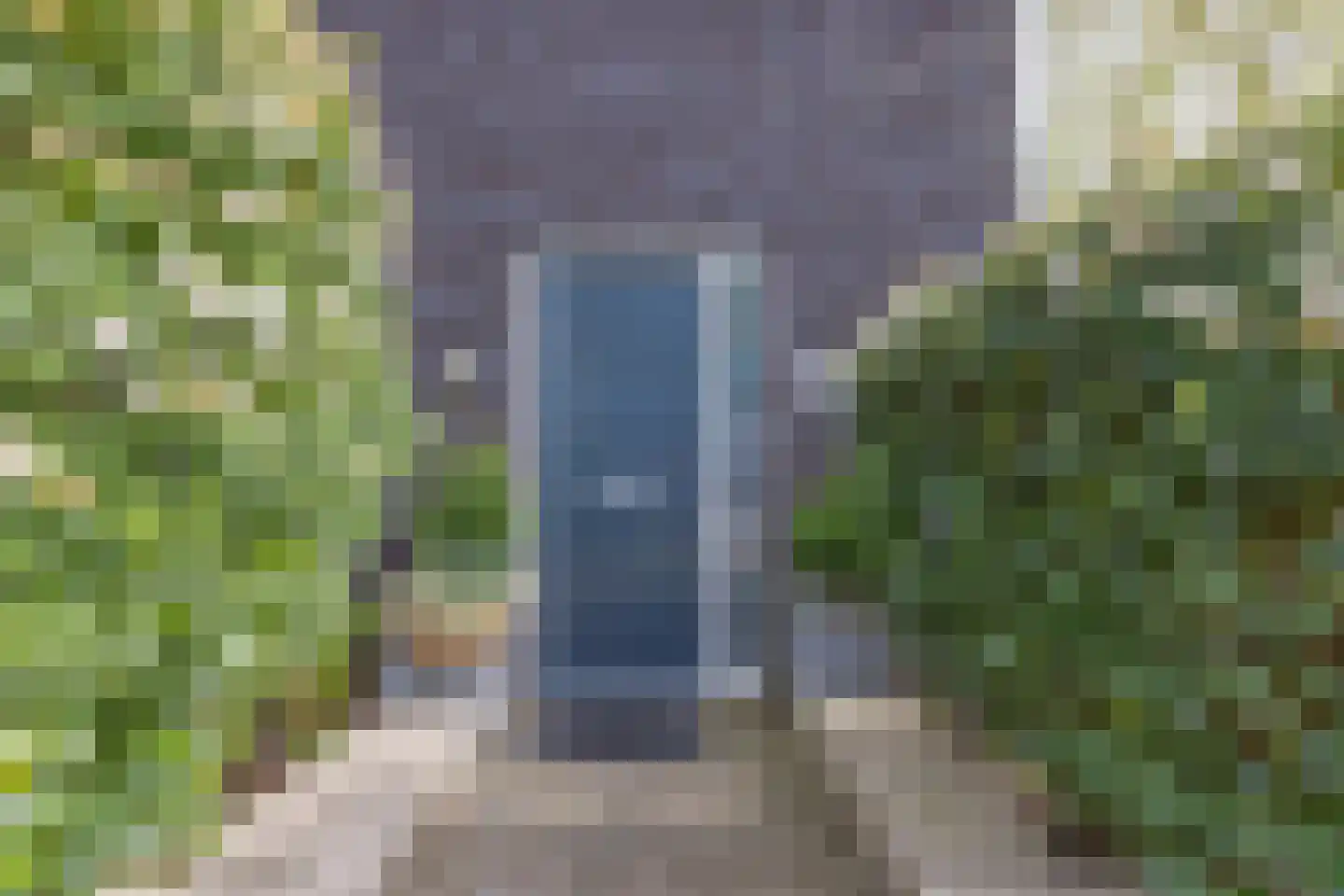 Grasplant 13 Eindhoven thumbnail 4