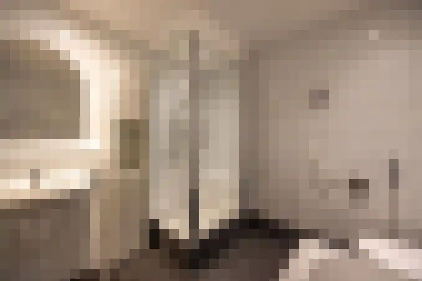 Grasplant 13 Eindhoven thumbnail 42