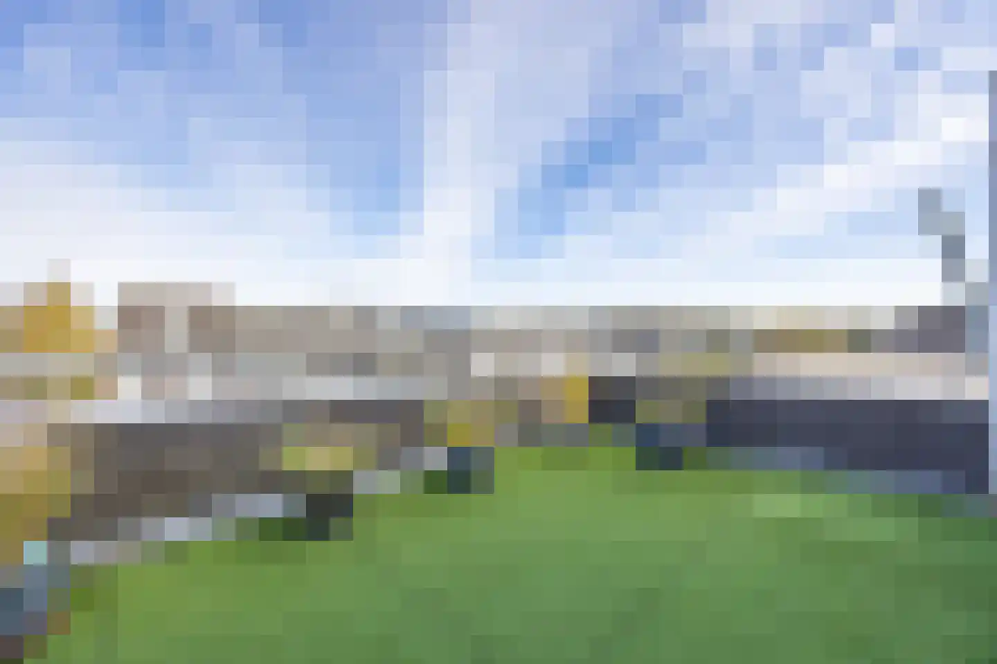 Grasplant 13 Eindhoven thumbnail 45