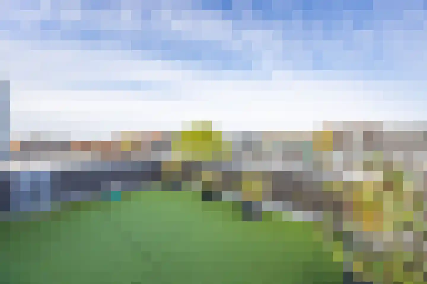 Grasplant 13 Eindhoven thumbnail 46