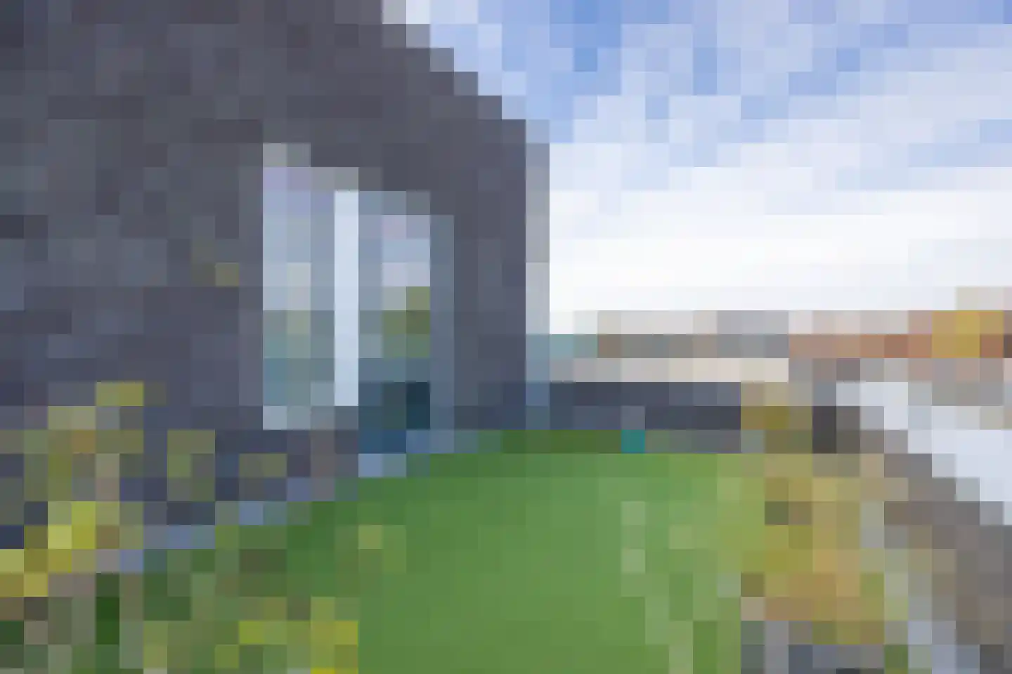 Grasplant 13 Eindhoven thumbnail 47