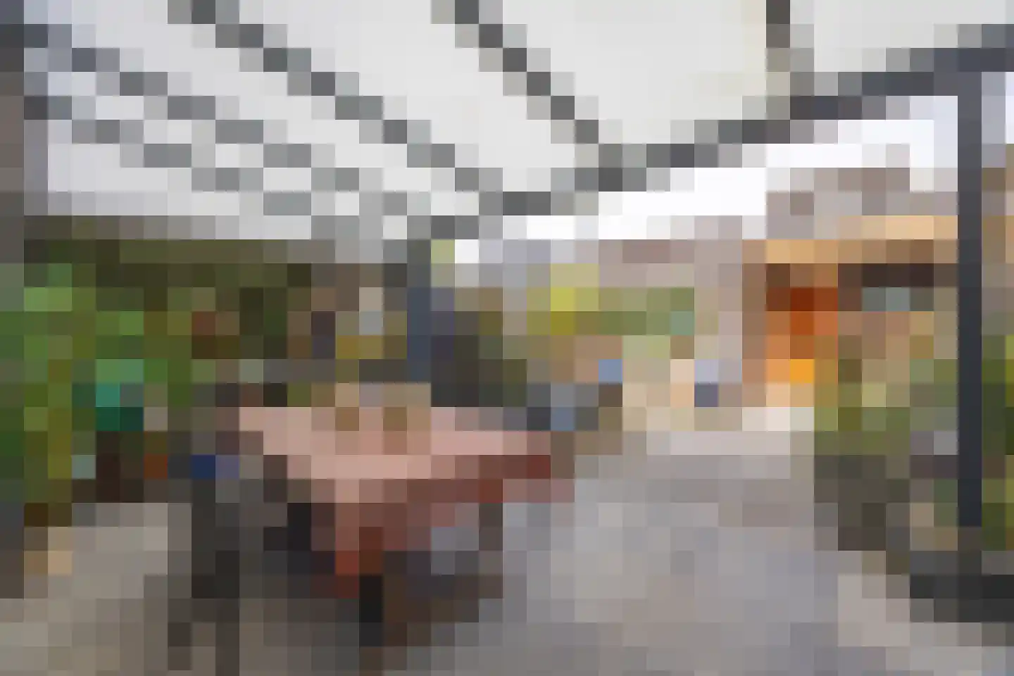 Grasplant 13 Eindhoven thumbnail 48