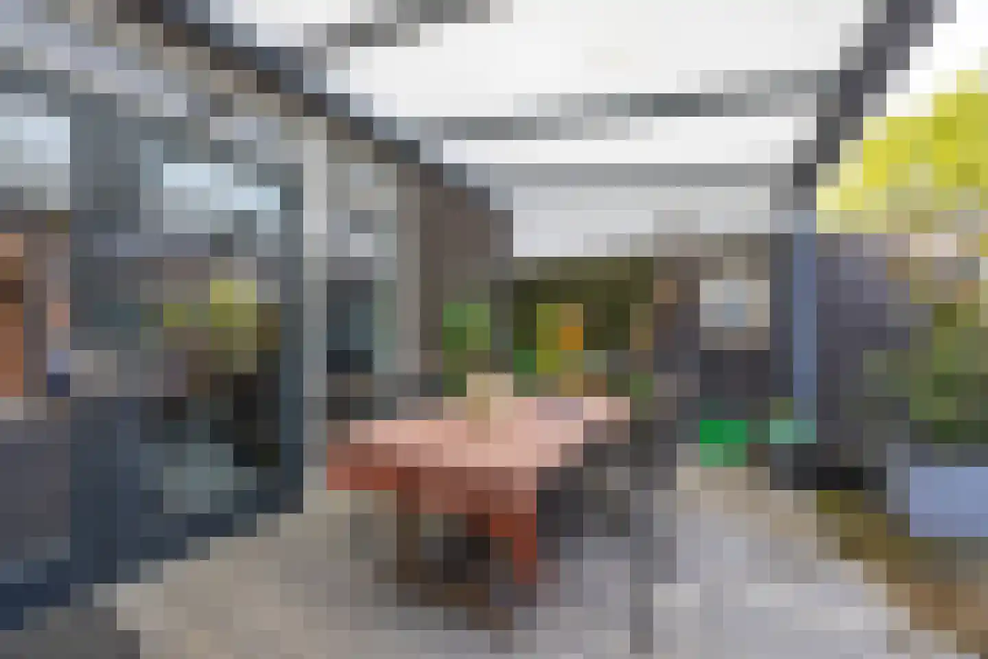 Grasplant 13 Eindhoven thumbnail 49