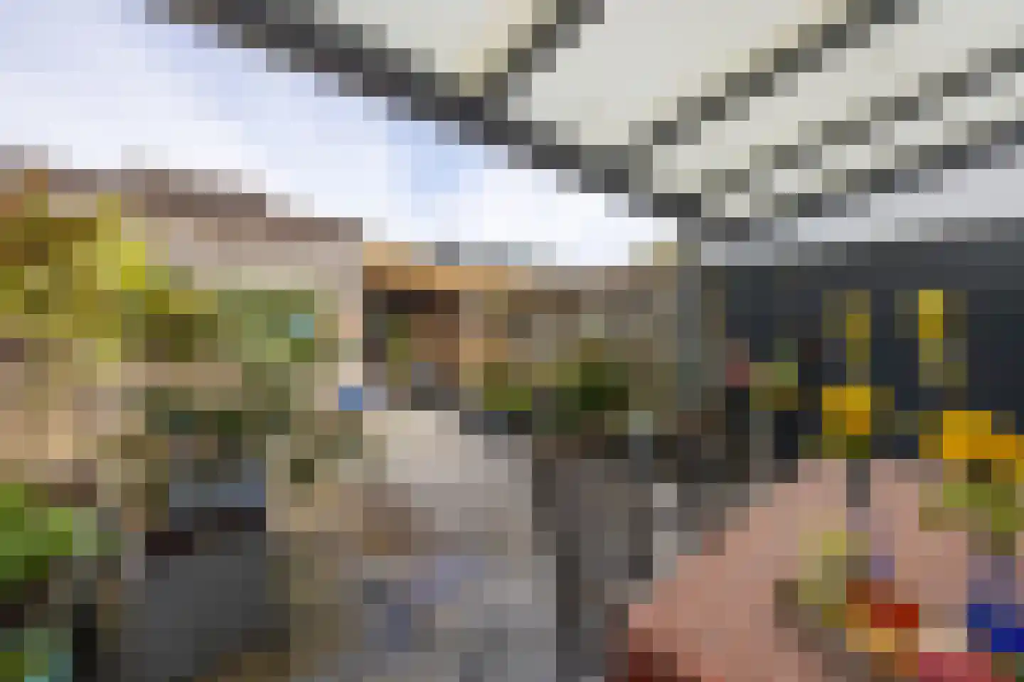Grasplant 13 Eindhoven thumbnail 50