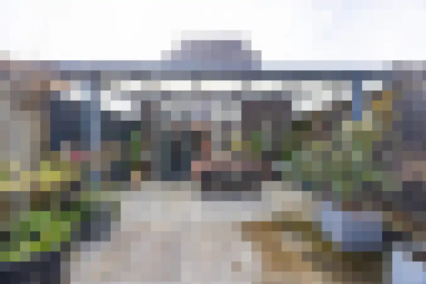 Grasplant 13 Eindhoven thumbnail 51