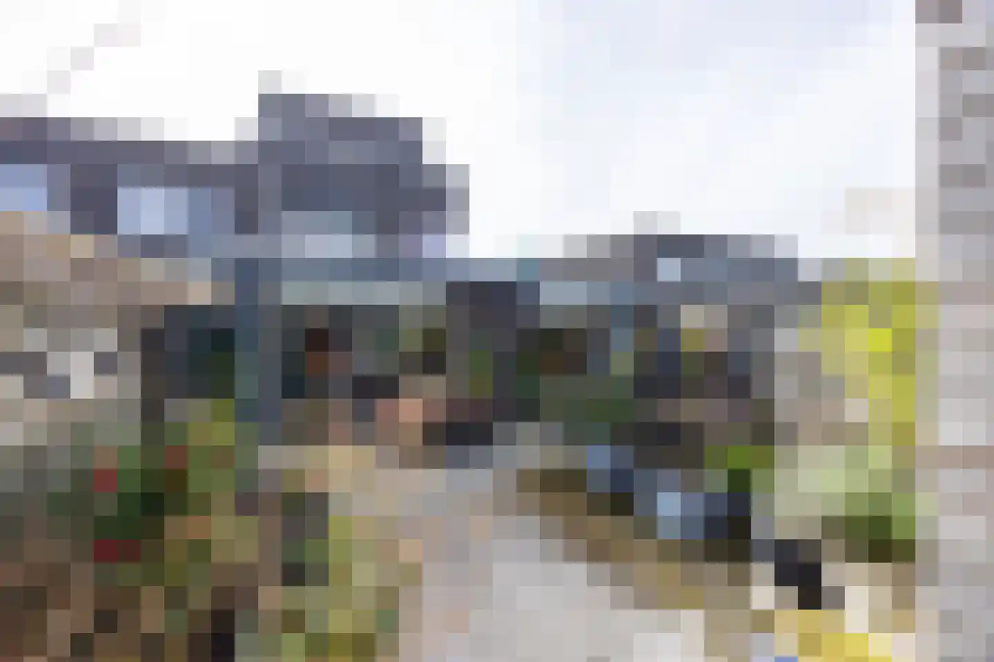 Grasplant 13 Eindhoven thumbnail 52