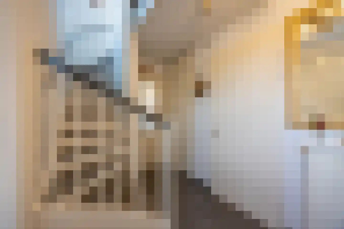 Grasplant 13 Eindhoven thumbnail 7
