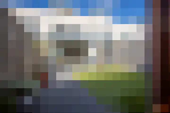 Grasplant 36 Eindhoven thumbnail 10