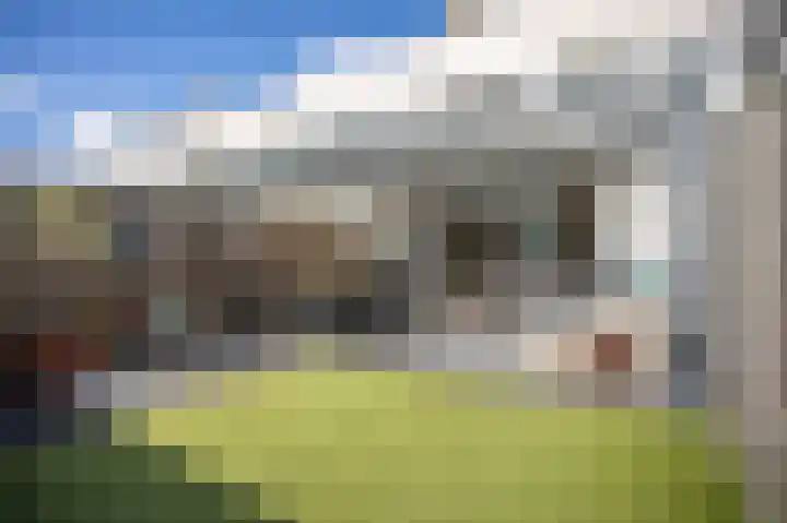 Grasplant 36 Eindhoven thumbnail 11