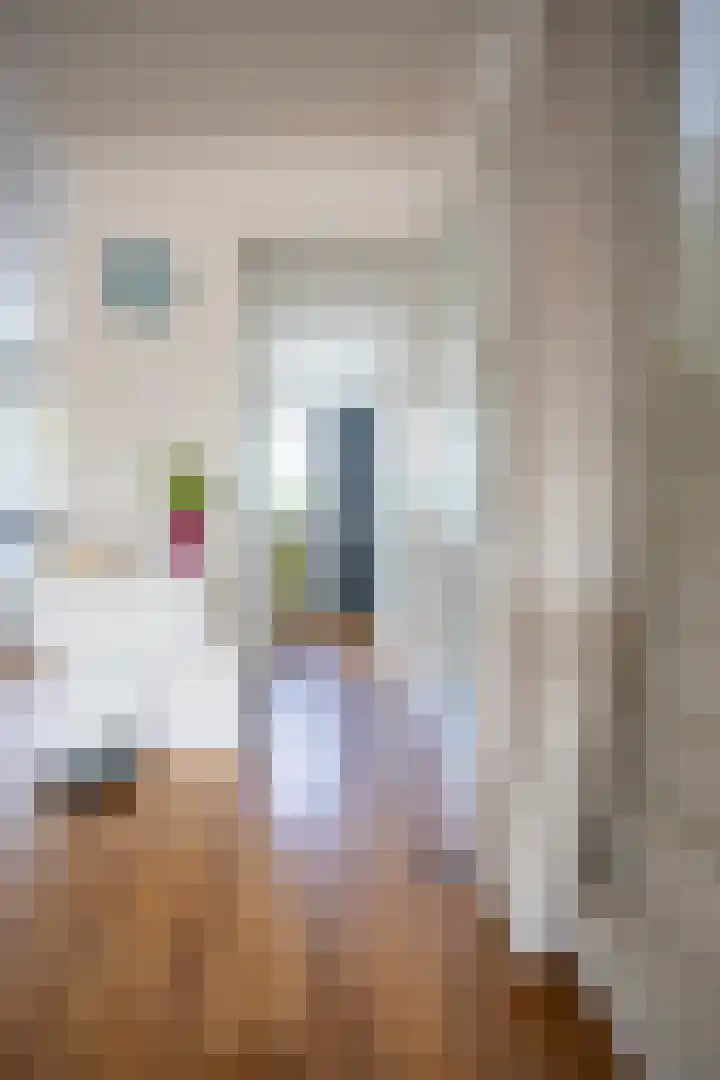 Grasplant 36 Eindhoven thumbnail 14