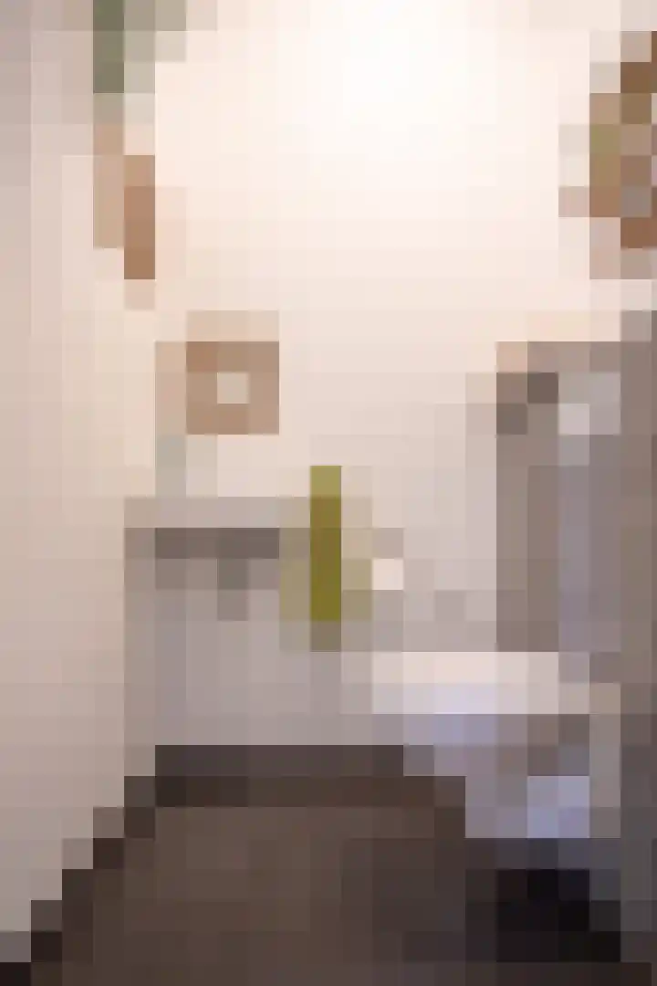Grasplant 36 Eindhoven thumbnail 15