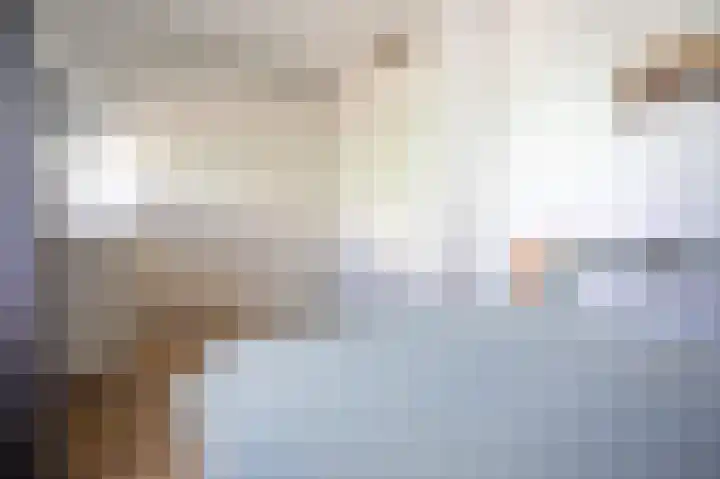 Grasplant 36 Eindhoven thumbnail 18