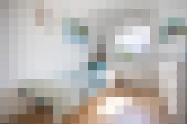 Grasplant 36 Eindhoven thumbnail 20