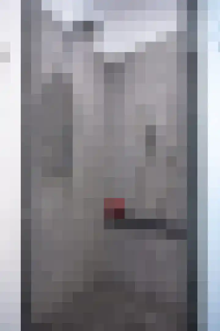 Grasplant 36 Eindhoven thumbnail 23