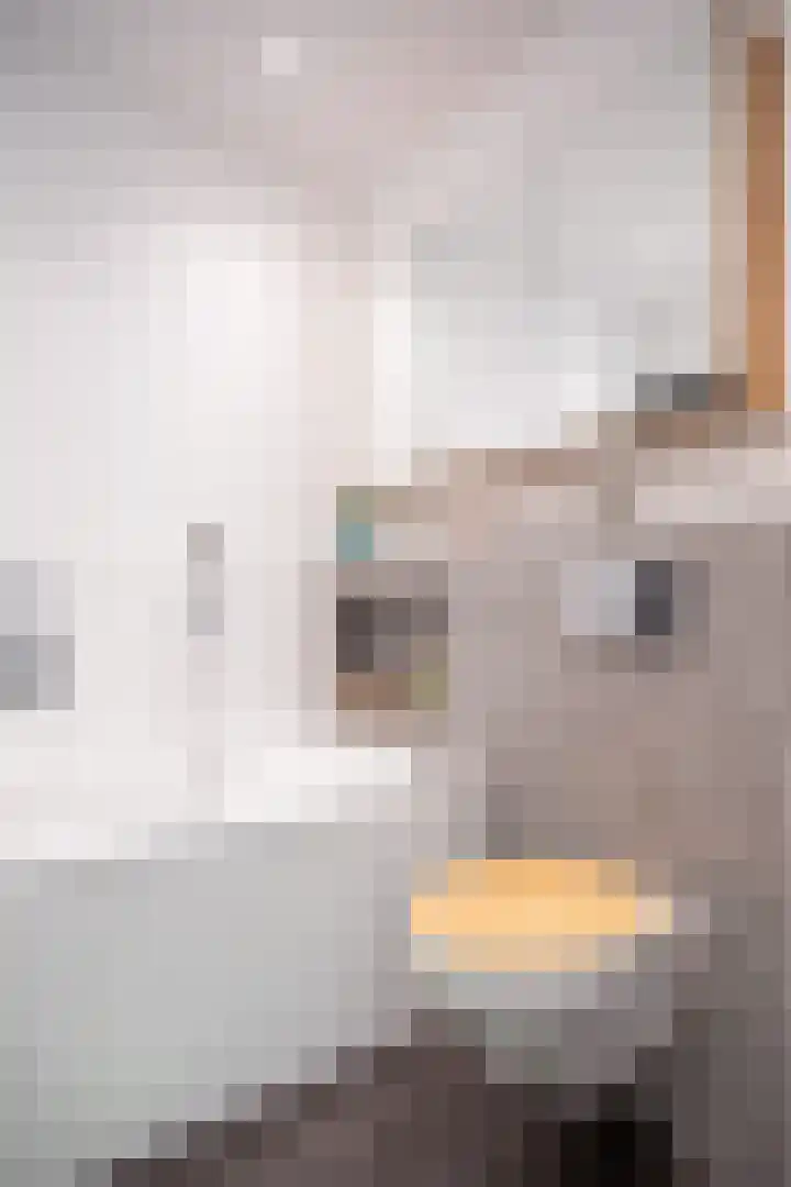 Grasplant 36 Eindhoven thumbnail 24