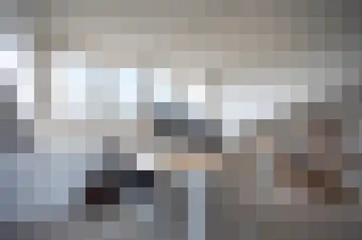 Grasplant 36 Eindhoven thumbnail 27