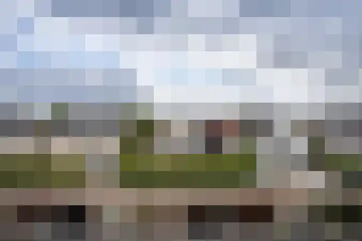 Grasplant 36 Eindhoven thumbnail 28