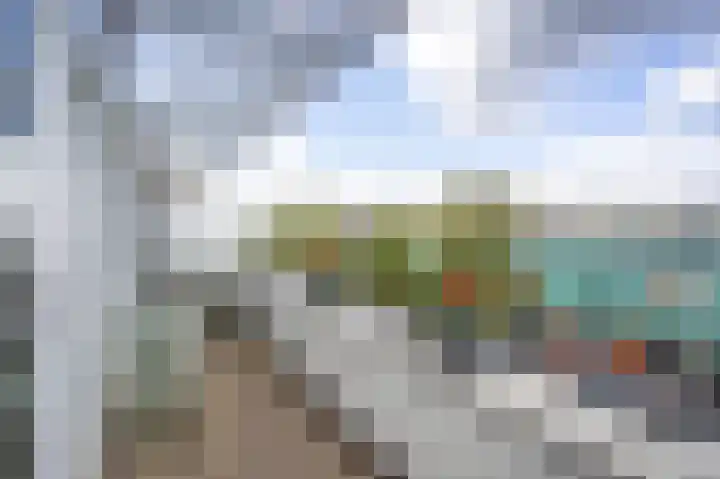 Grasplant 36 Eindhoven thumbnail 30