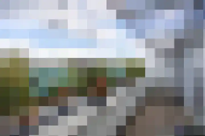 Grasplant 36 Eindhoven thumbnail 31