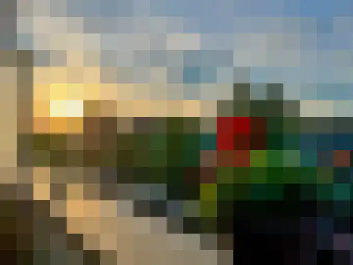 Grasplant 36 Eindhoven thumbnail 32