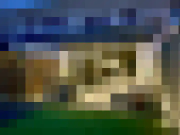 Grasplant 36 Eindhoven thumbnail 35