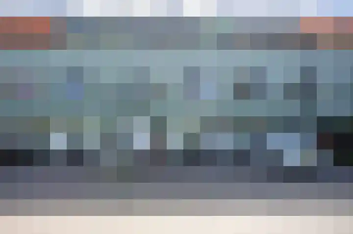 Grasplant 36 Eindhoven thumbnail 38