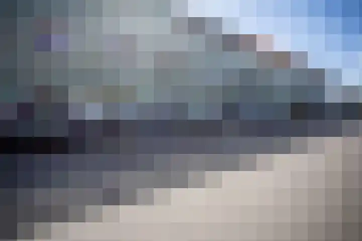 Grasplant 36 Eindhoven thumbnail 39