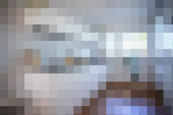 Grasplant 36 Eindhoven thumbnail 6