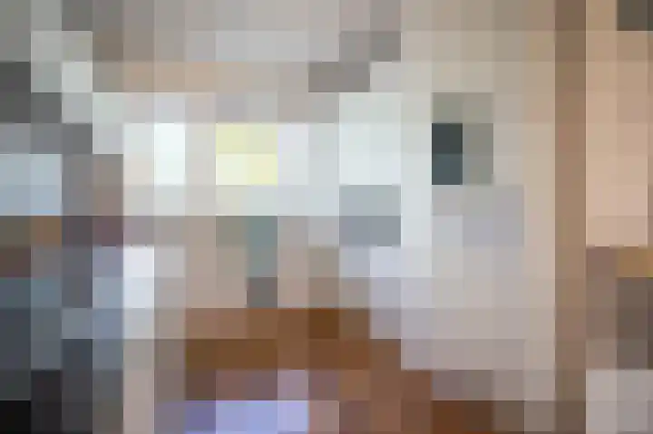 Grasplant 36 Eindhoven thumbnail 7