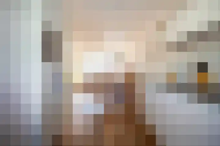 Grasplant 36 Eindhoven thumbnail 8