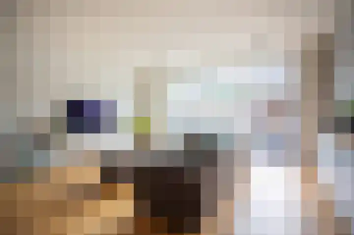 Grasplant 36 Eindhoven thumbnail 9