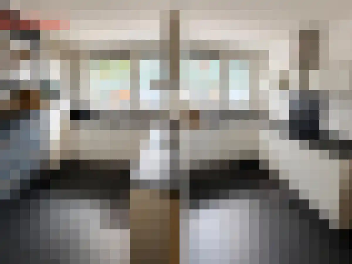 Grasplant 43 Eindhoven thumbnail 5