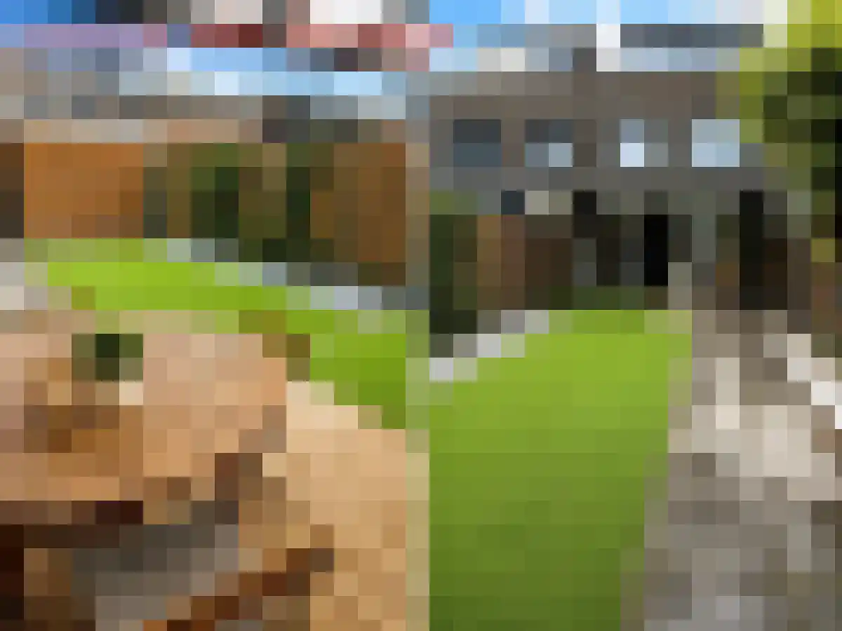Grasplant 43 Eindhoven thumbnail 6